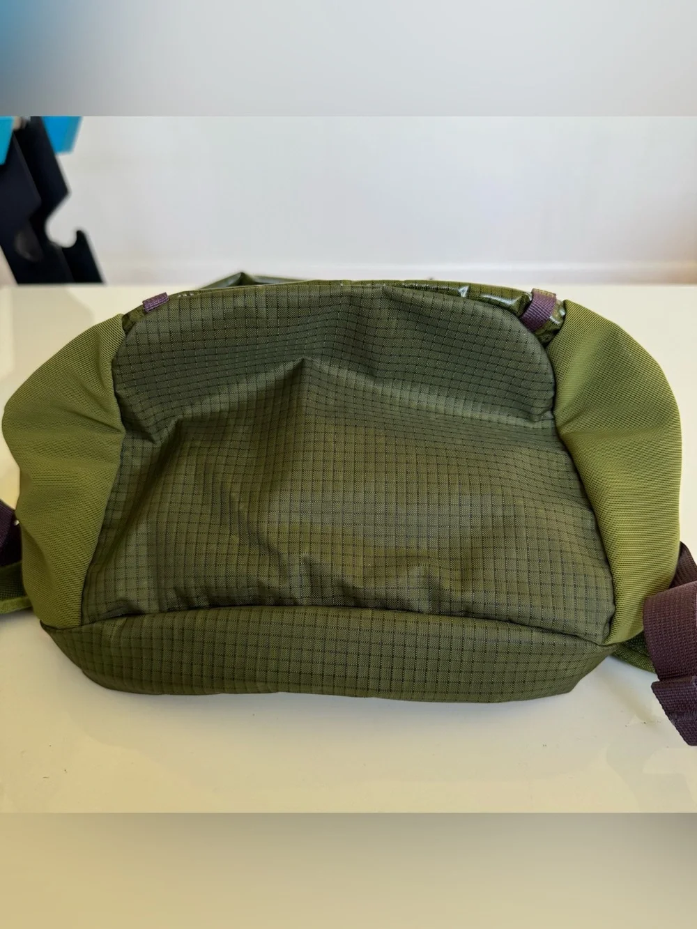 Patagonia Black Hole Pack 26L Backpack Bag Lightweight 49050 SPTG Green Purple